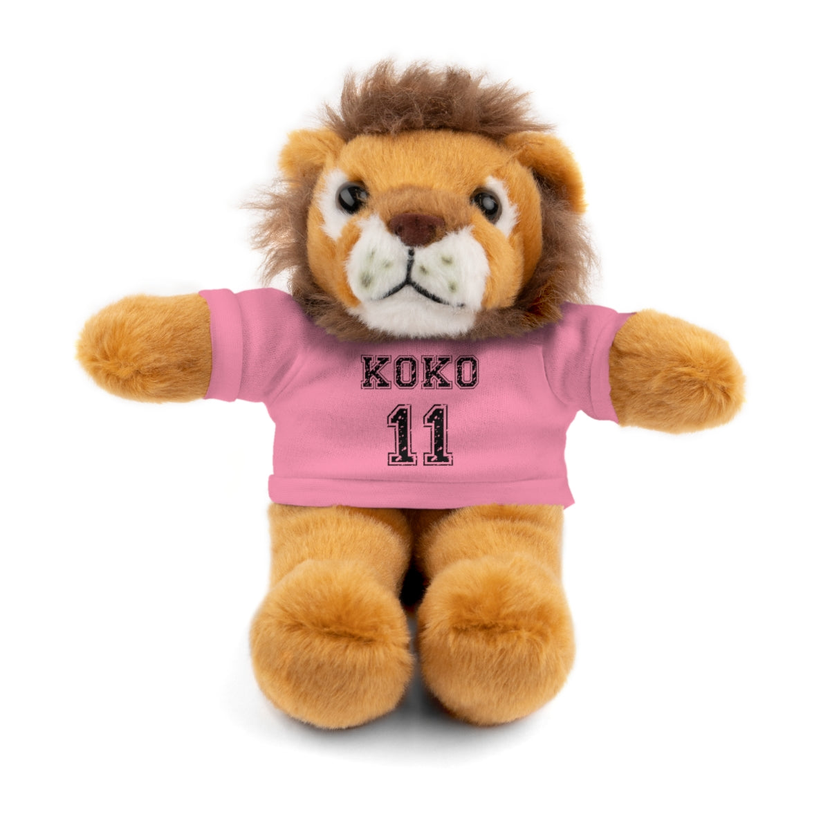 🧸 Personalized Plush Stuffed Animal with Custom Tee
