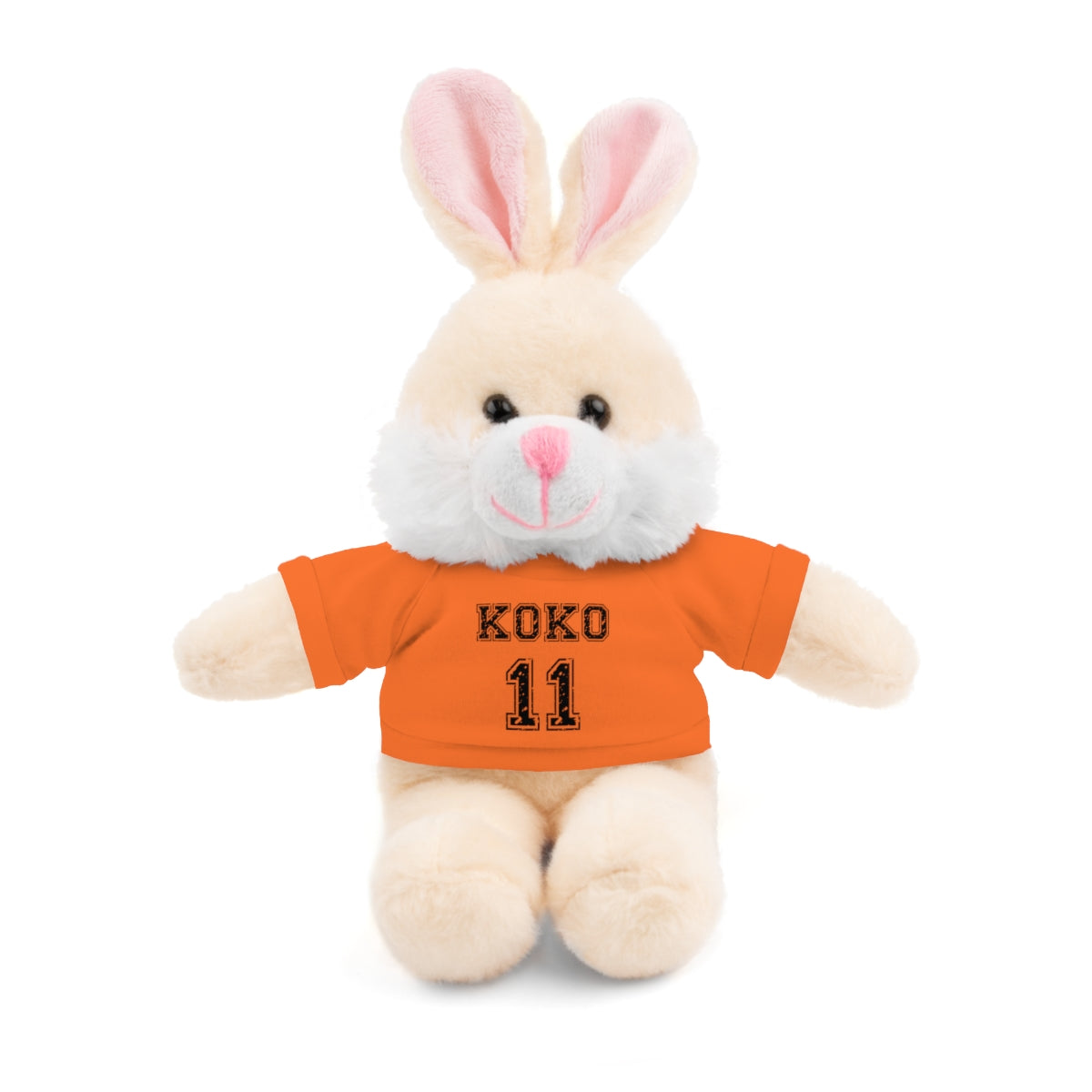 🧸 Personalized Plush Stuffed Animal with Custom Tee