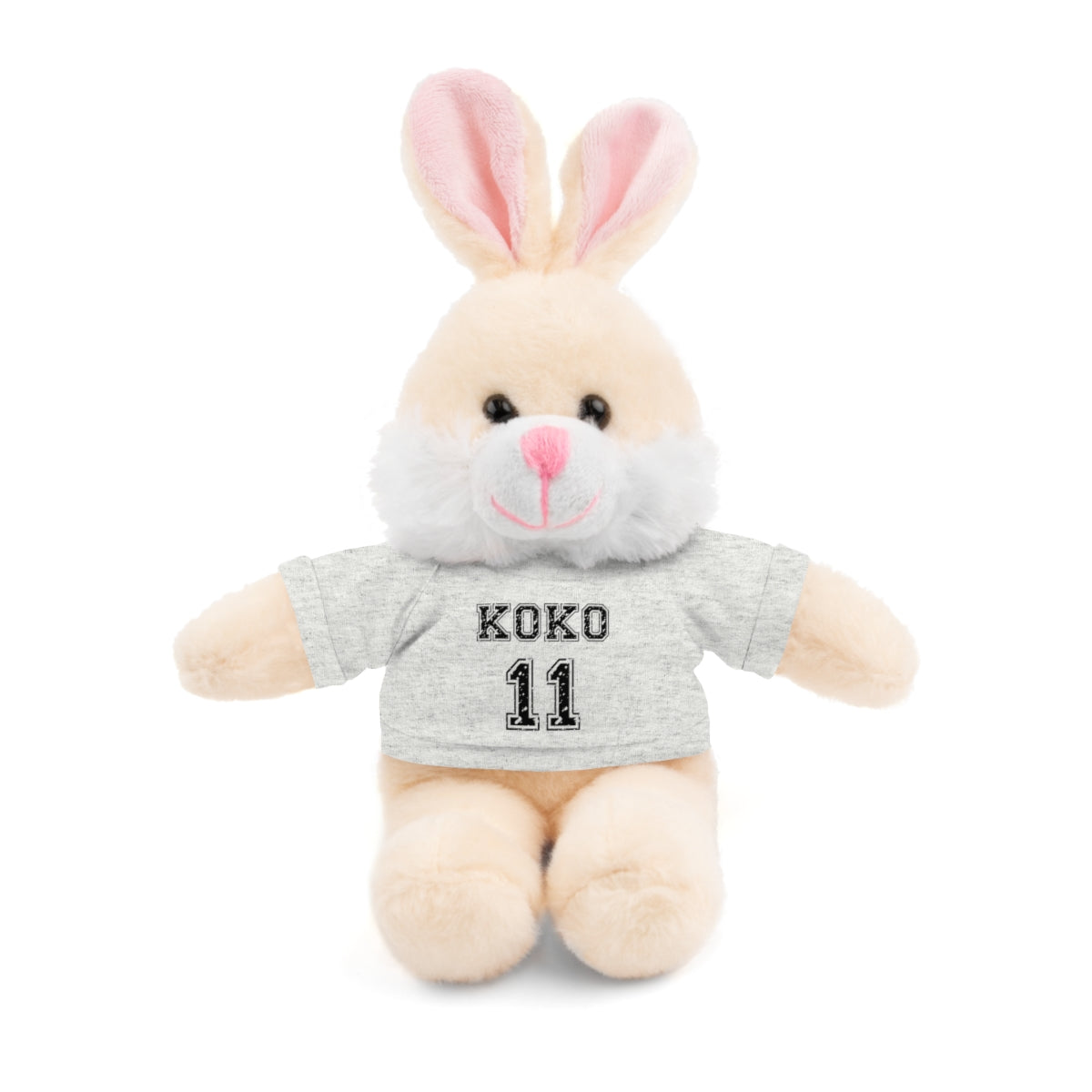 🧸 Personalized Plush Stuffed Animal with Custom Tee