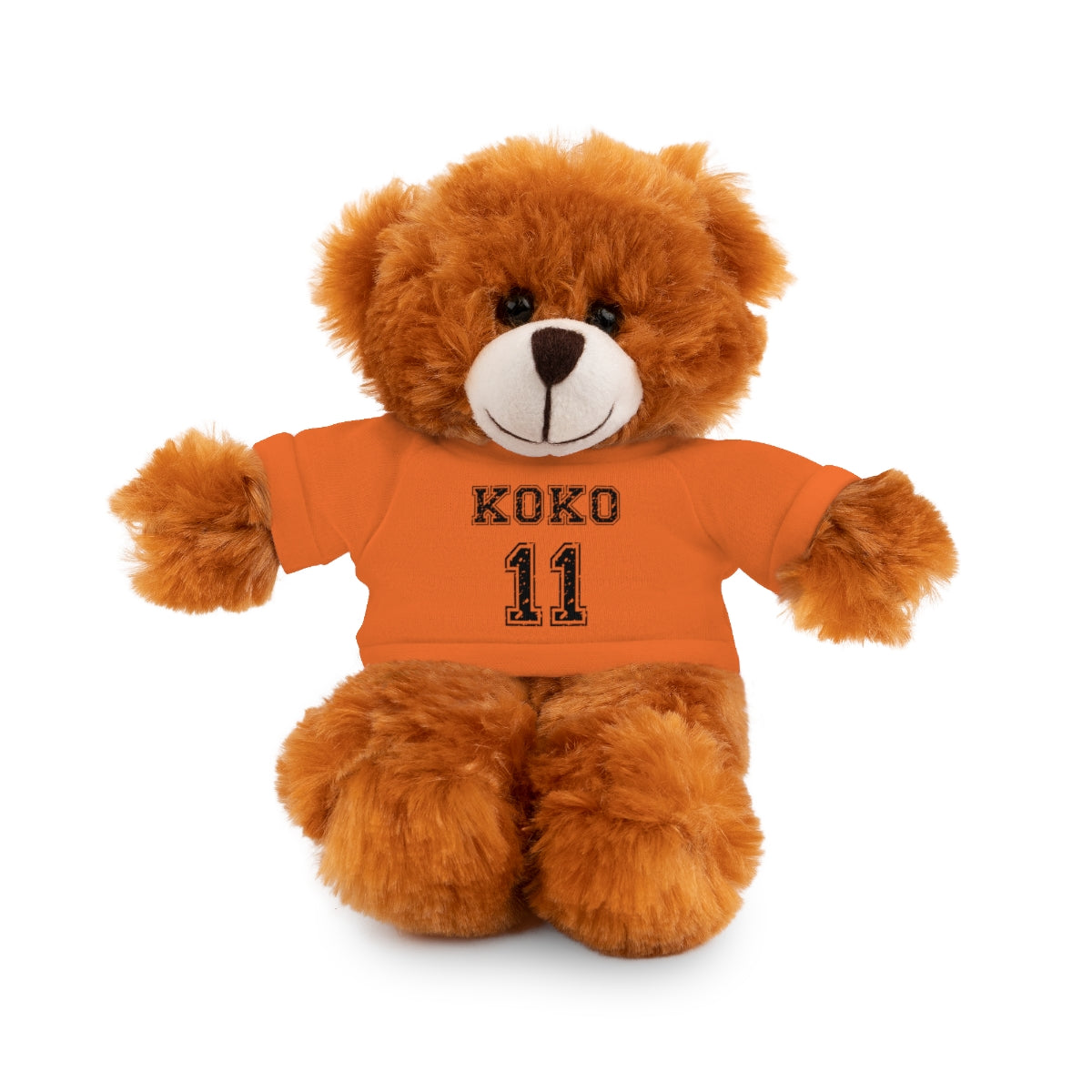 🧸 Personalized Plush Stuffed Animal with Custom Tee