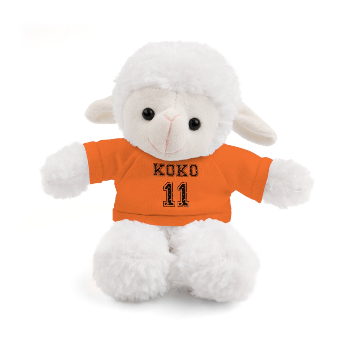 🧸 Personalized Plush Stuffed Animal with Custom Tee