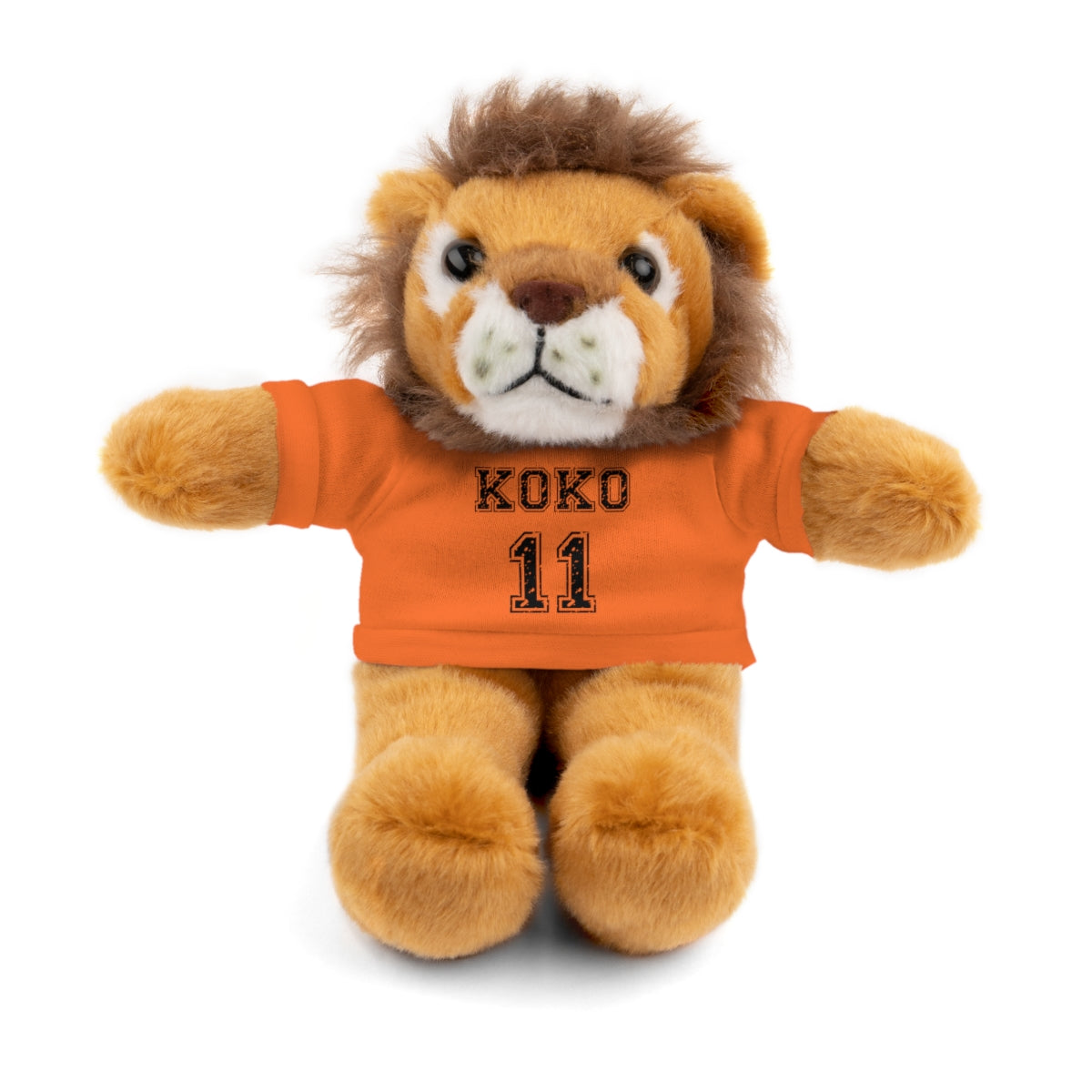 🧸 Personalized Plush Stuffed Animal with Custom Tee