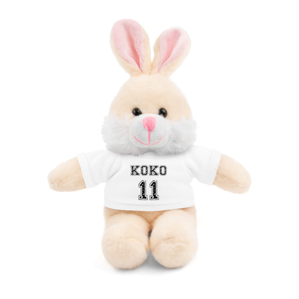 🧸 Personalized Plush Stuffed Animal with Custom Tee